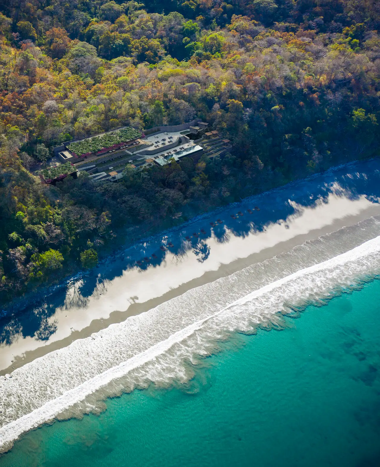 NiHi-Santo-Tomás-banner-3