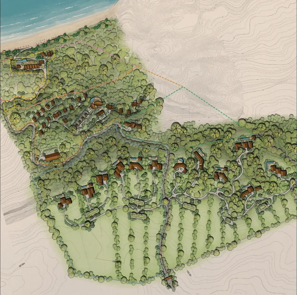 NiHi-Santo-Tomás-banner-4