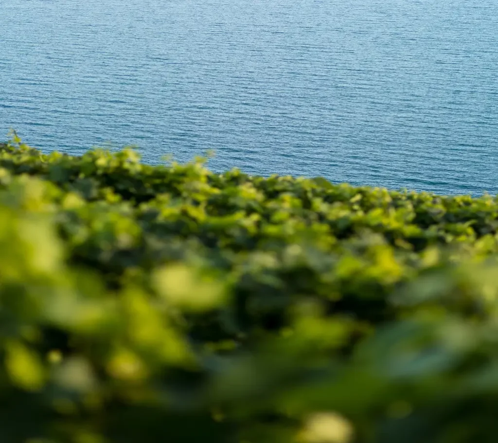 banner-Consultoría Integral en Sostenibilidad Hídrica